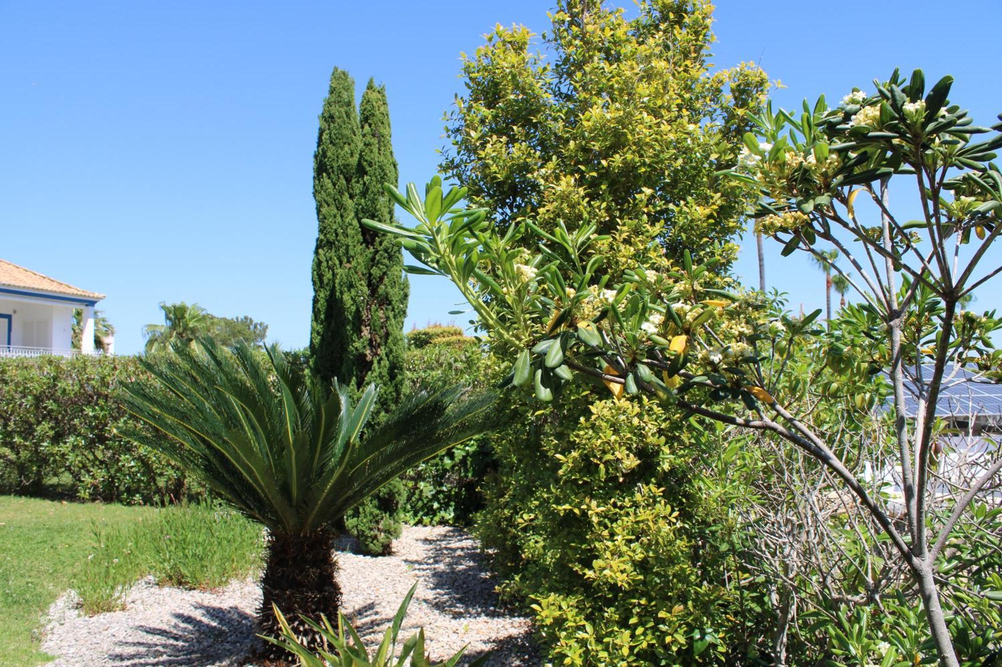 Luxury 2 Bedroom Apartment With Private Garden Almancil Bagian luar foto